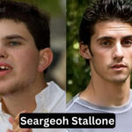 seargeoh stallone