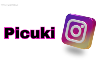 picuki