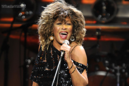 tina turner tod