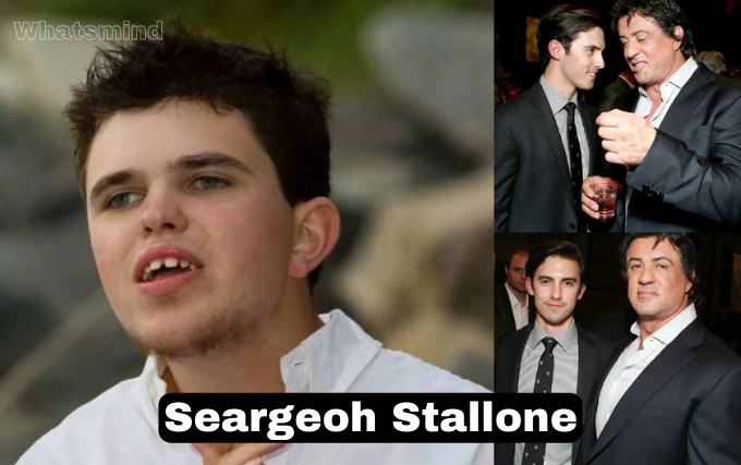 seargeoh stallone