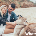 Partnersuche für tierliebe Singles