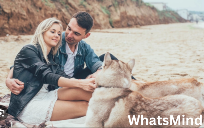 Partnersuche für tierliebe Singles